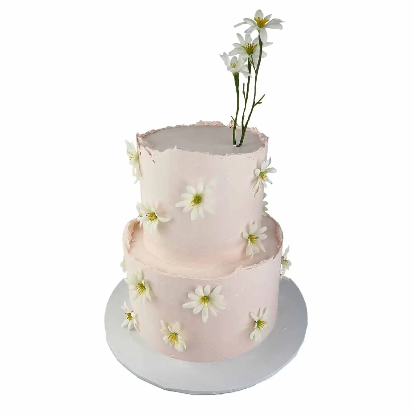 Pink Daisy Delight Cake - A two-tier pink cake adorned with scattered daisies, a charming and fresh centerpiece celebrating the beauty of nature.