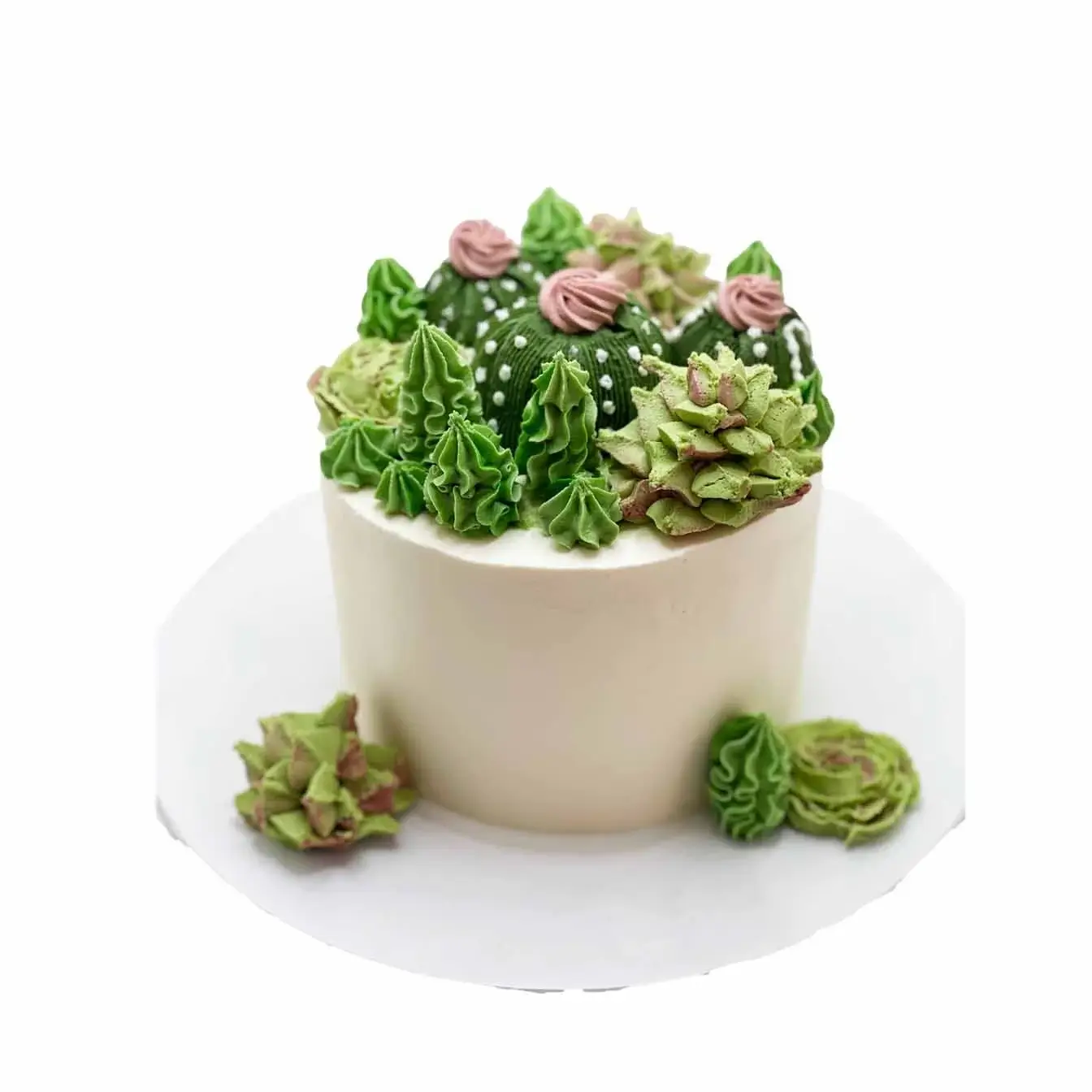 Succulent Serenity Cake - A cake adorned with intricately crafted edible succulents, a perfect centerpiece for garden-themed celebrations and nature enthusiasts.